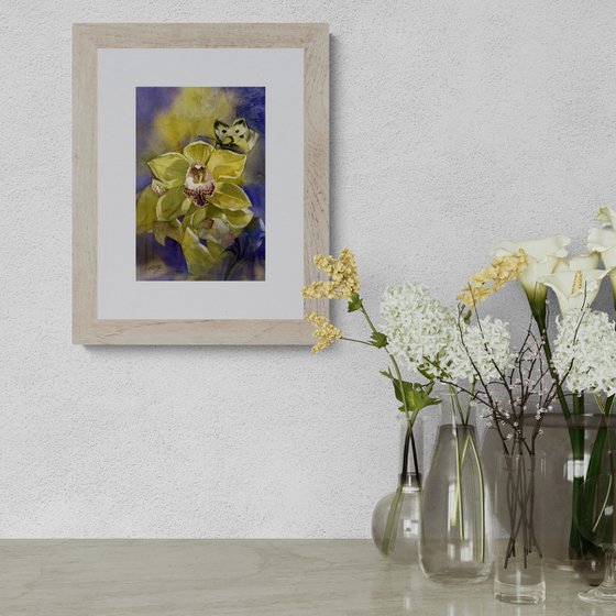 Cymbidium orchid