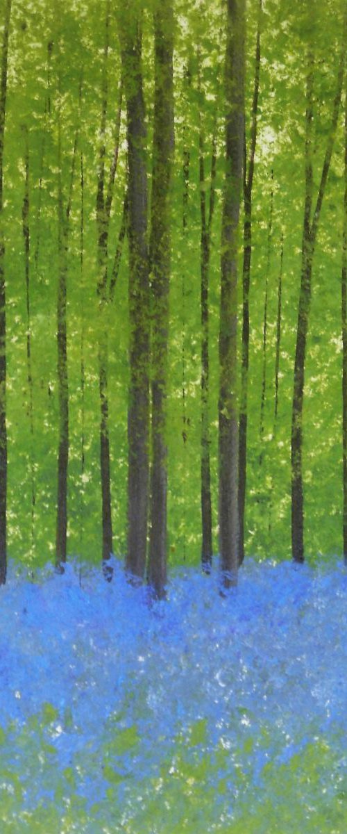 Bluebell Woods 4 by Jan Rippingham