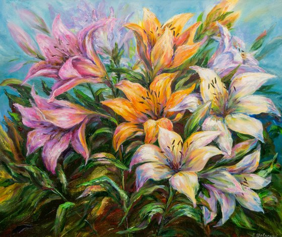 Beautiful Lilies
