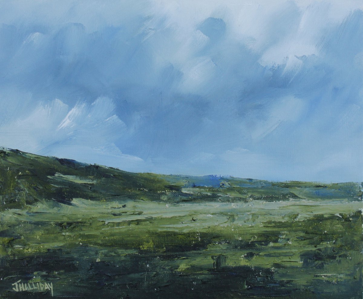 Lowlands, Irish Landscape by John Halliday