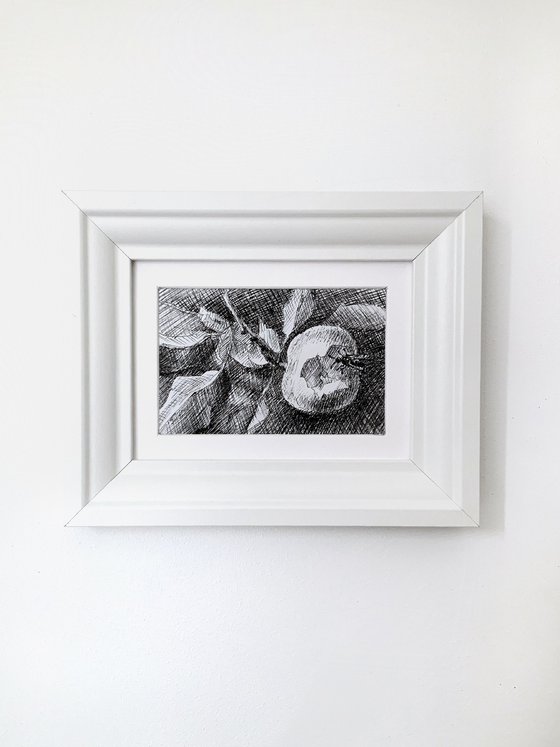 Countryside drawings Framed