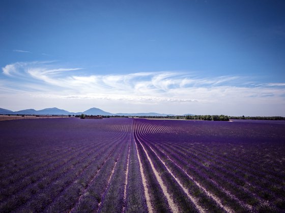 SUN OF PROVENCE