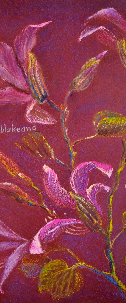 Winter Flowers of the Mediterranean II by Anastasiia Aguf