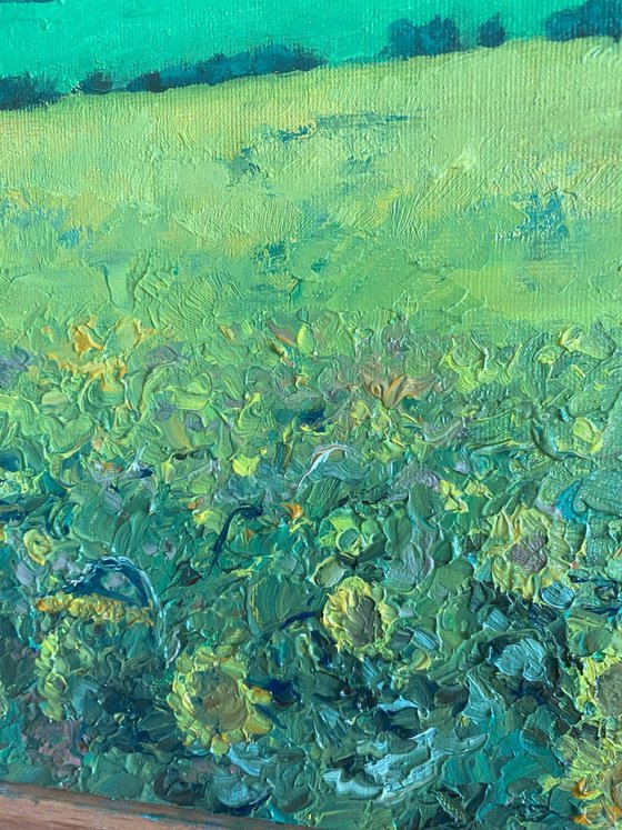 Sunflower Valley