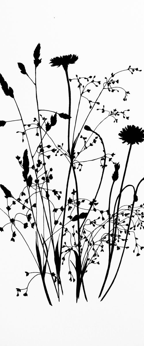 Wild Grass #1 (black) by Kath Edwards