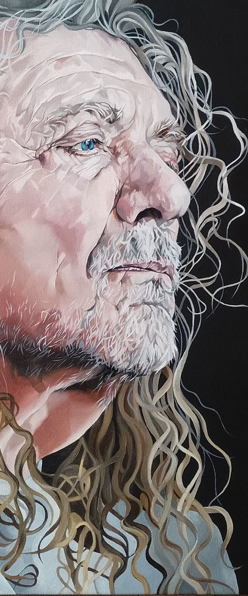 Robert Plant...a study portrait by Jo Beer