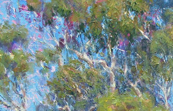 The Eucalyptus Grove