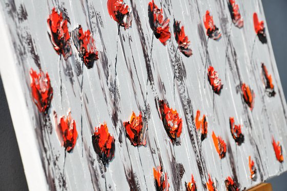 Poppies 2