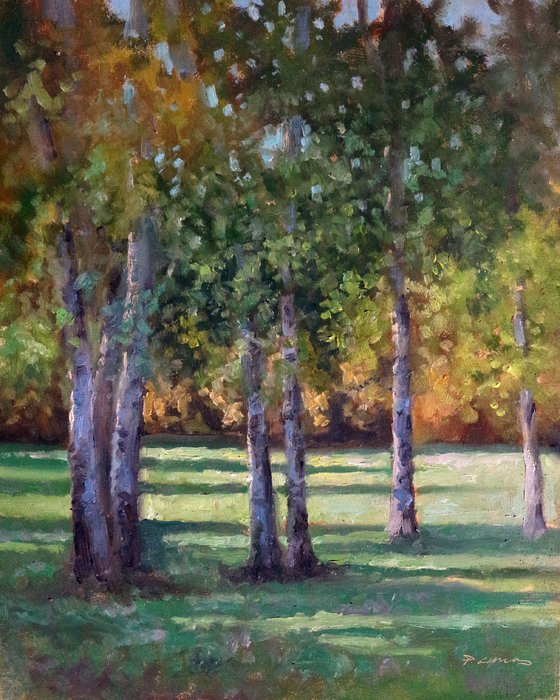 Poplars