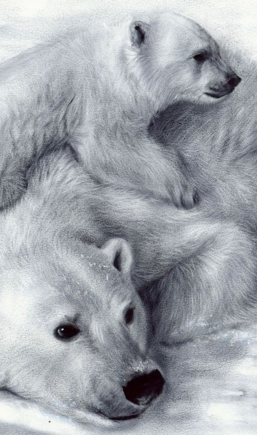 Polar Bears by Danguole Serstinskaja