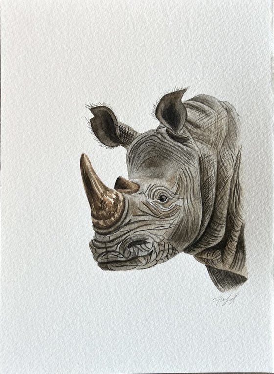 Rhino