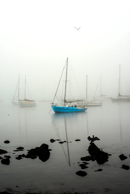 Williamstown Fog by Nick Psomiadis