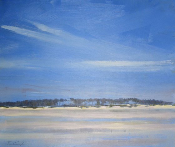 Holkham trees no 3.