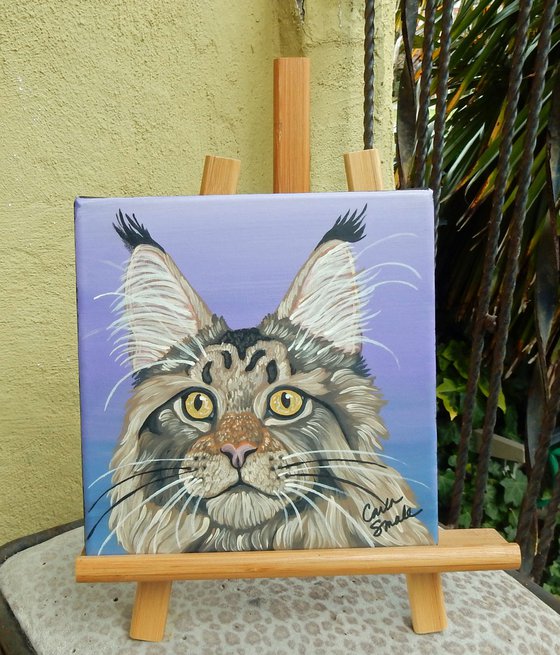 Maine Coon Cat Pet Original Art Painting-8 x 8 Inches Stretched Canvas-Carla Smale