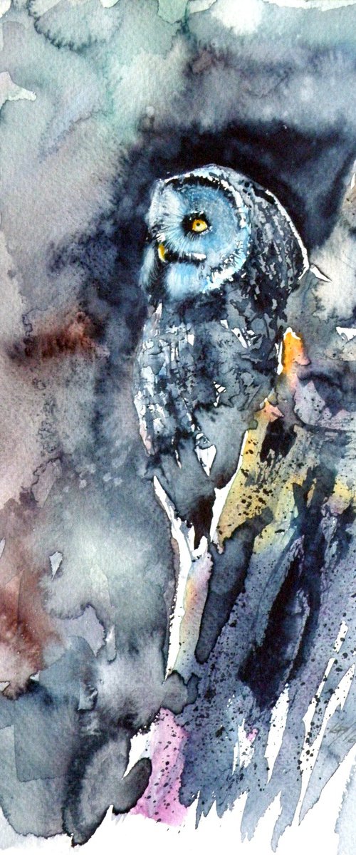 Owl at night by Kovács Anna Brigitta