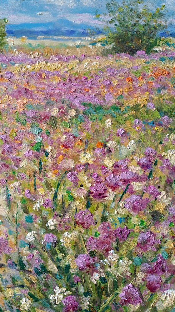 Fields of flowers