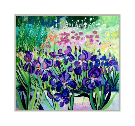 Iris Border