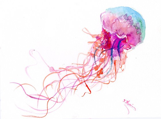 Jellyfish