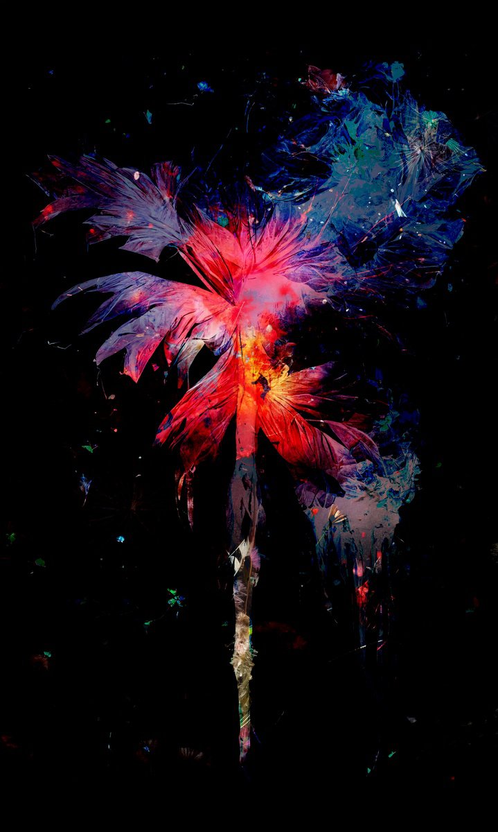 Botanical Painting By Teis Albers, 24 X 39", Bandidos, Original Artwork