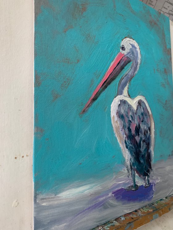 Pelican, bird.