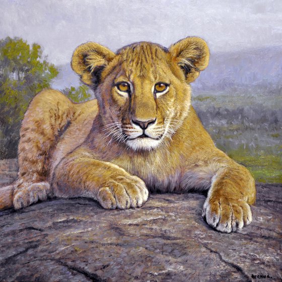 Lion cub