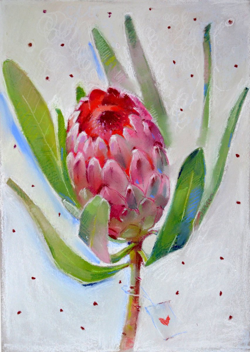 Protea flower by Alexandra Sergeeva