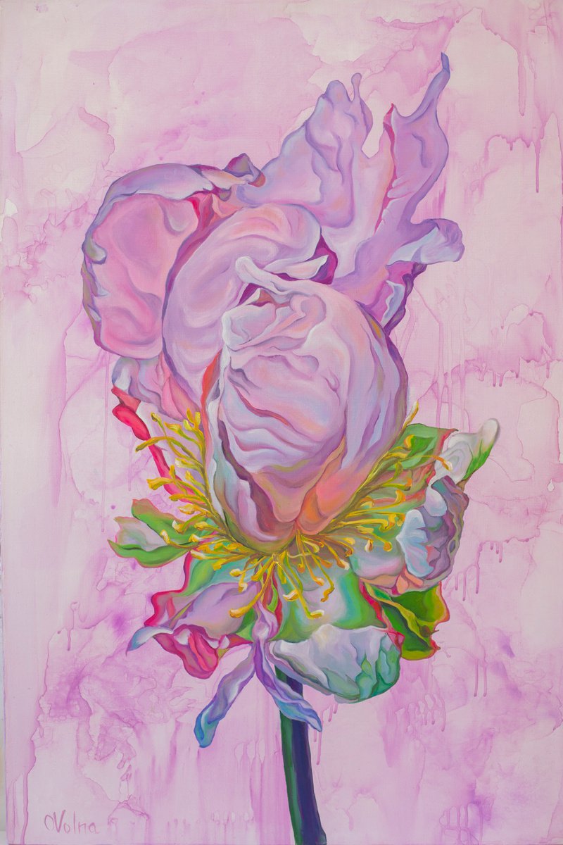 Pink Flower by Olga Volna