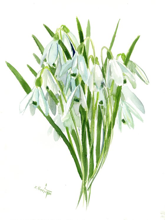 Snowdrop watercolor flowers