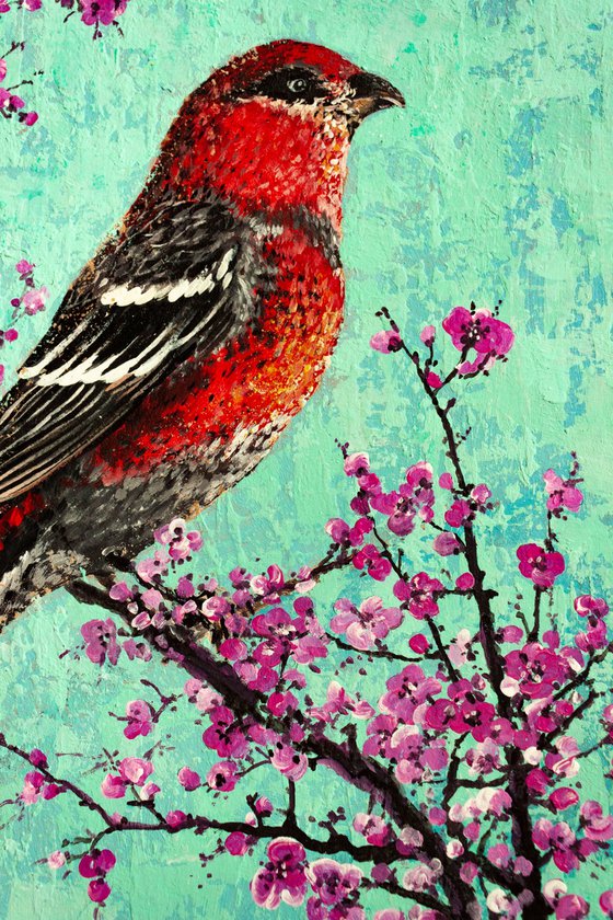 White-winged Crossbills