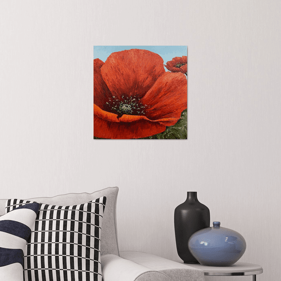 Poppies