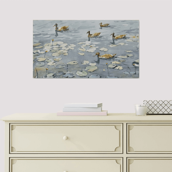 Ducks