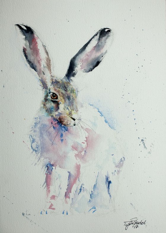 Eastern Hare