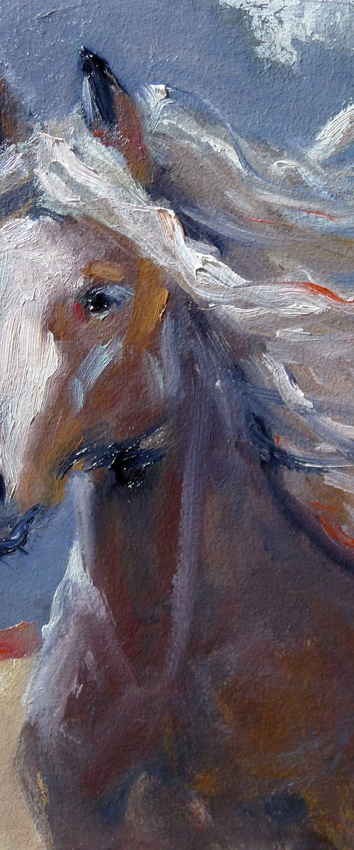 A horse in the wild by Tatyana Kaganets