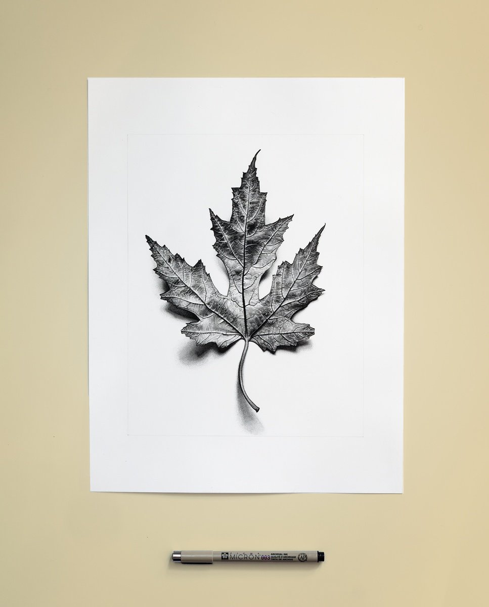 Leaf by Louis Savage