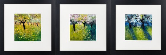 Three Spring Orchard View