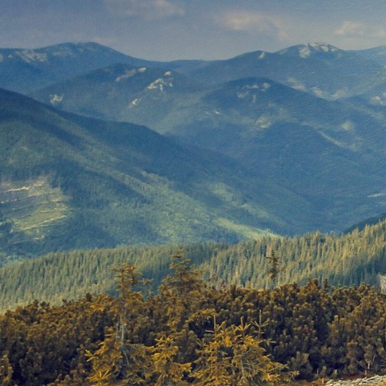 Summer in the Carpathian Mountains.