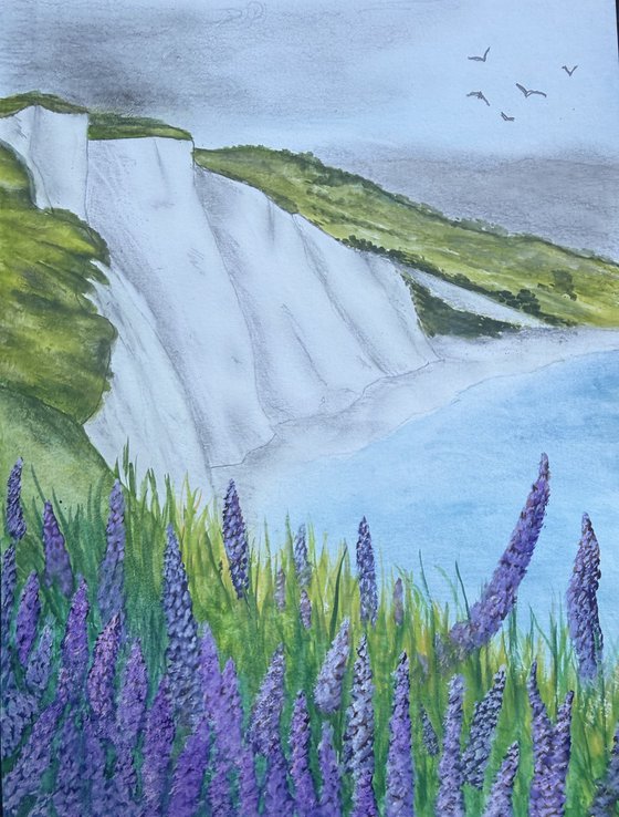 Isle of Wight Cliffs