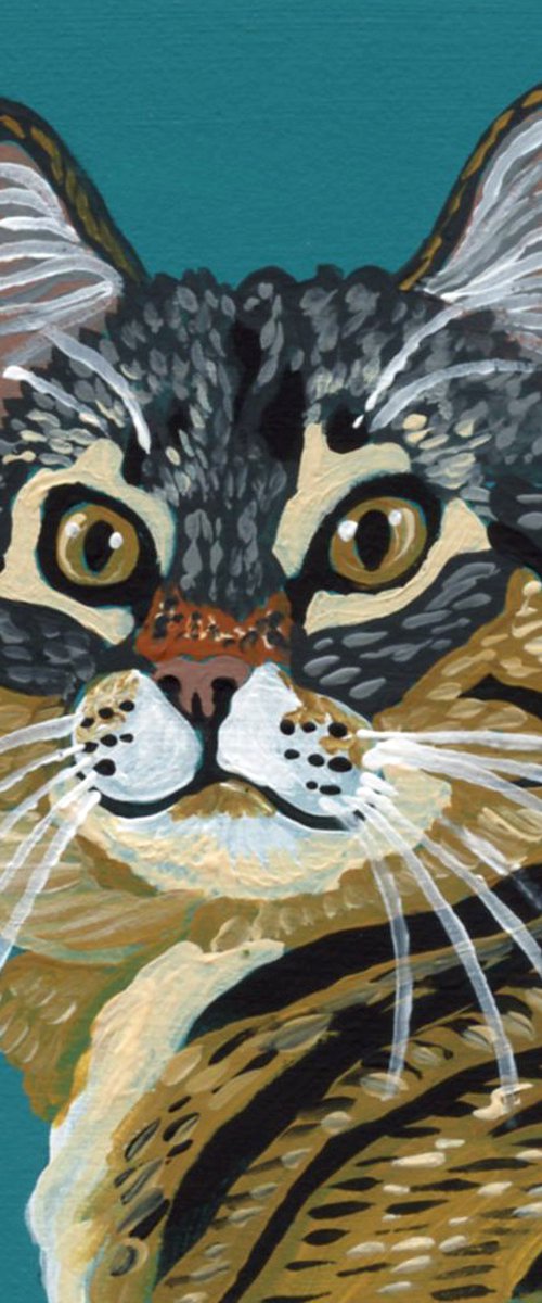 Brown Tabby Cat by Carla Smale