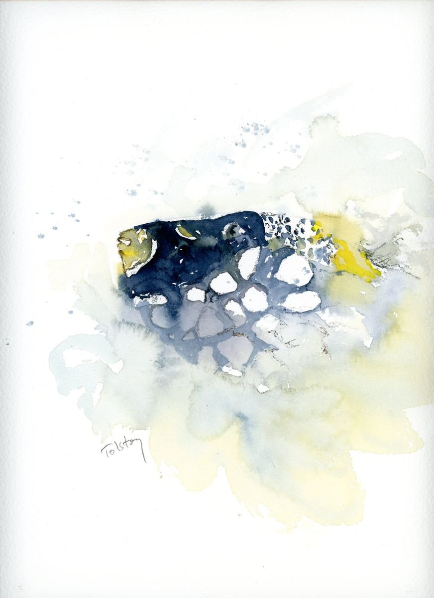 Impressionistic Animal Watercolour By Alex Tolstoy, 10 X 14, Humuhumu With Spots, Original Artwork