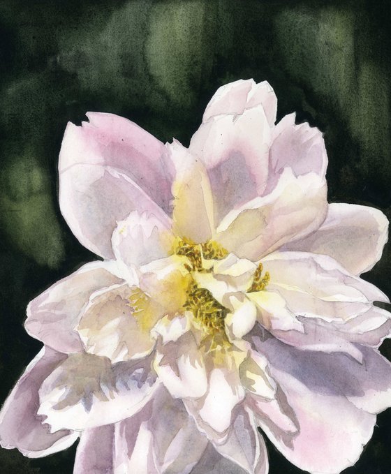 soft in pink watercolor floral