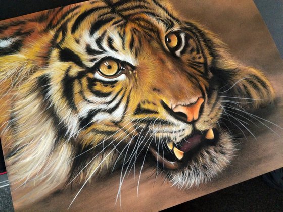 Tiger's Stare Original Big cat Painting)