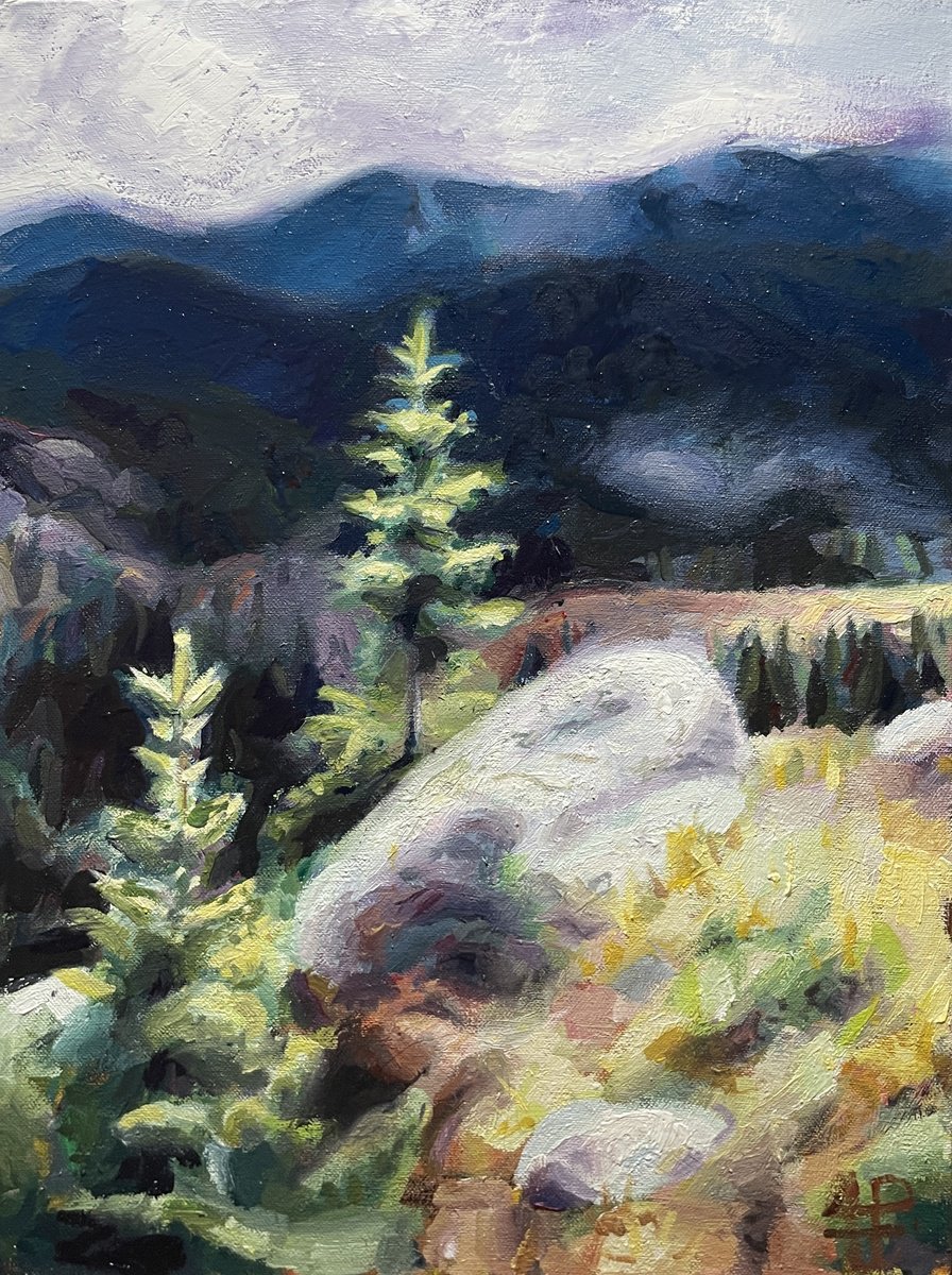 Impressionistic Landscape Oil Painting By Andres Portillo, 12 X 16, Misty Silence, Original Artwork