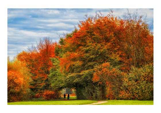 Autumn Walk. Limited Edition 1/50 15x10 inch Photographic Print