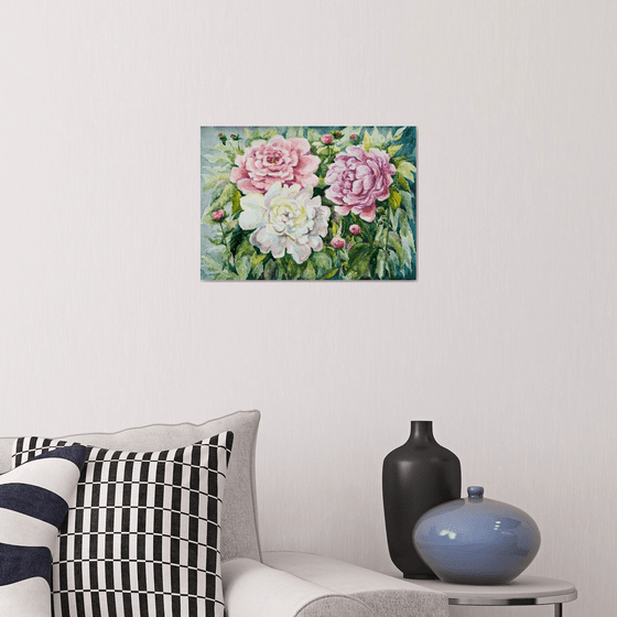 Peonies