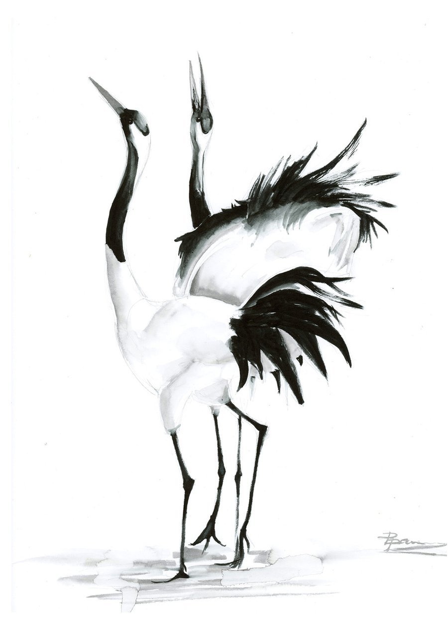 Set of 4 dancing cranes Ink drawing by Olga Shefranov (Tchefranov ...