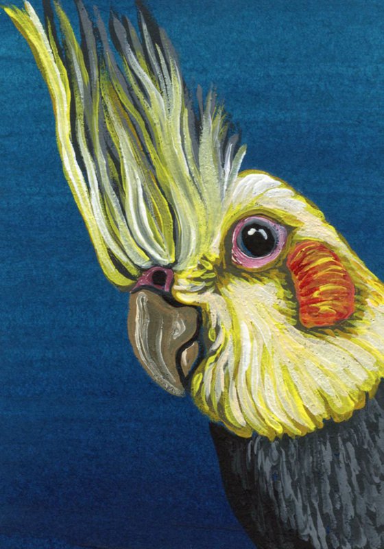 ACEO ATC Original Painting Cockatiel Pet Bird Art-Carla Smale