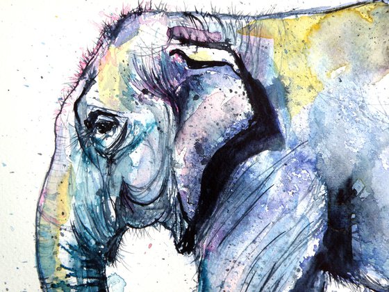 Elephant