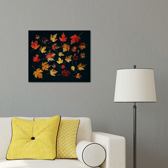 Autumn Maple Leaves