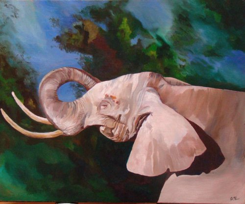 Elephant portrait by Anne Zamo