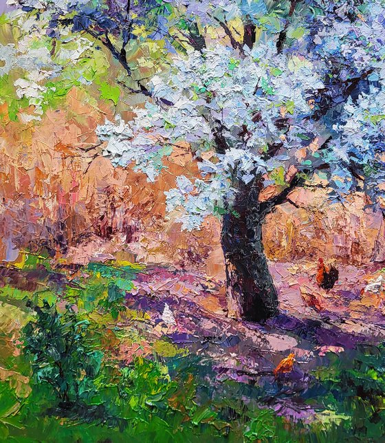 Pear blossoms